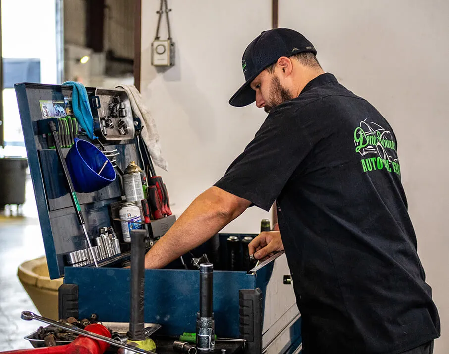 Restoration and Skills