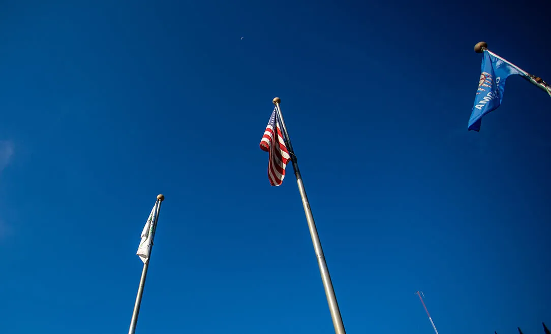 American flags