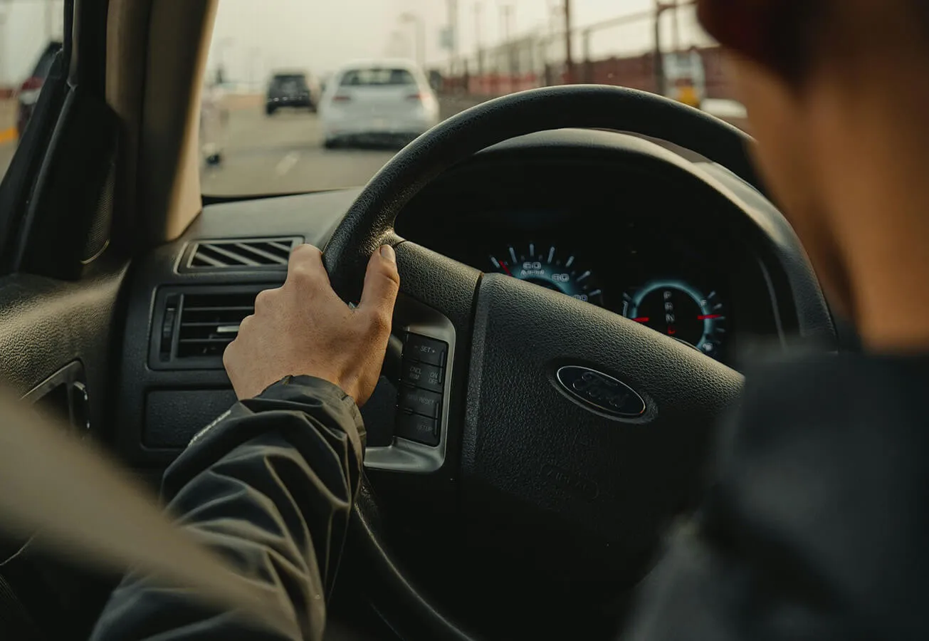 Rental Cars, Fleet Options