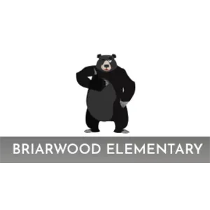 Brickwood Elementary Color Run Logo