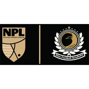Elite Football Academy Logo