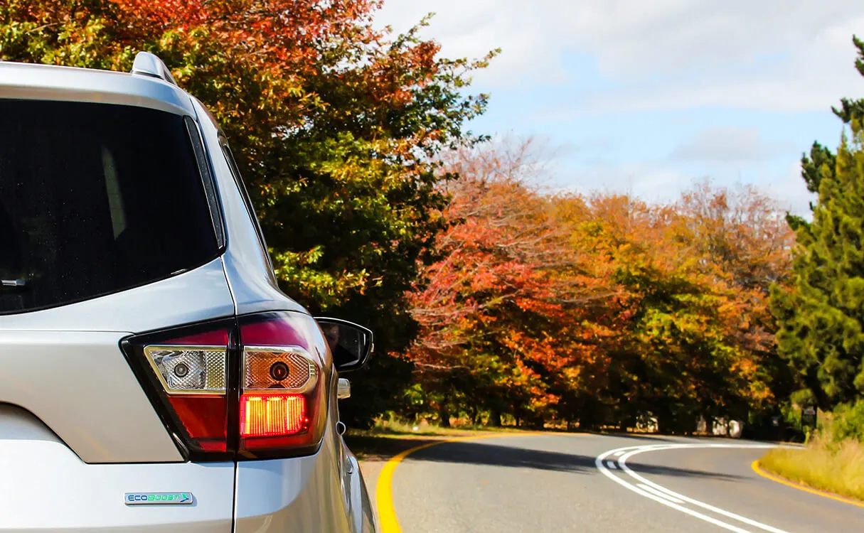 Car driving next to trees in the fall