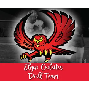 Elgin Owlettes