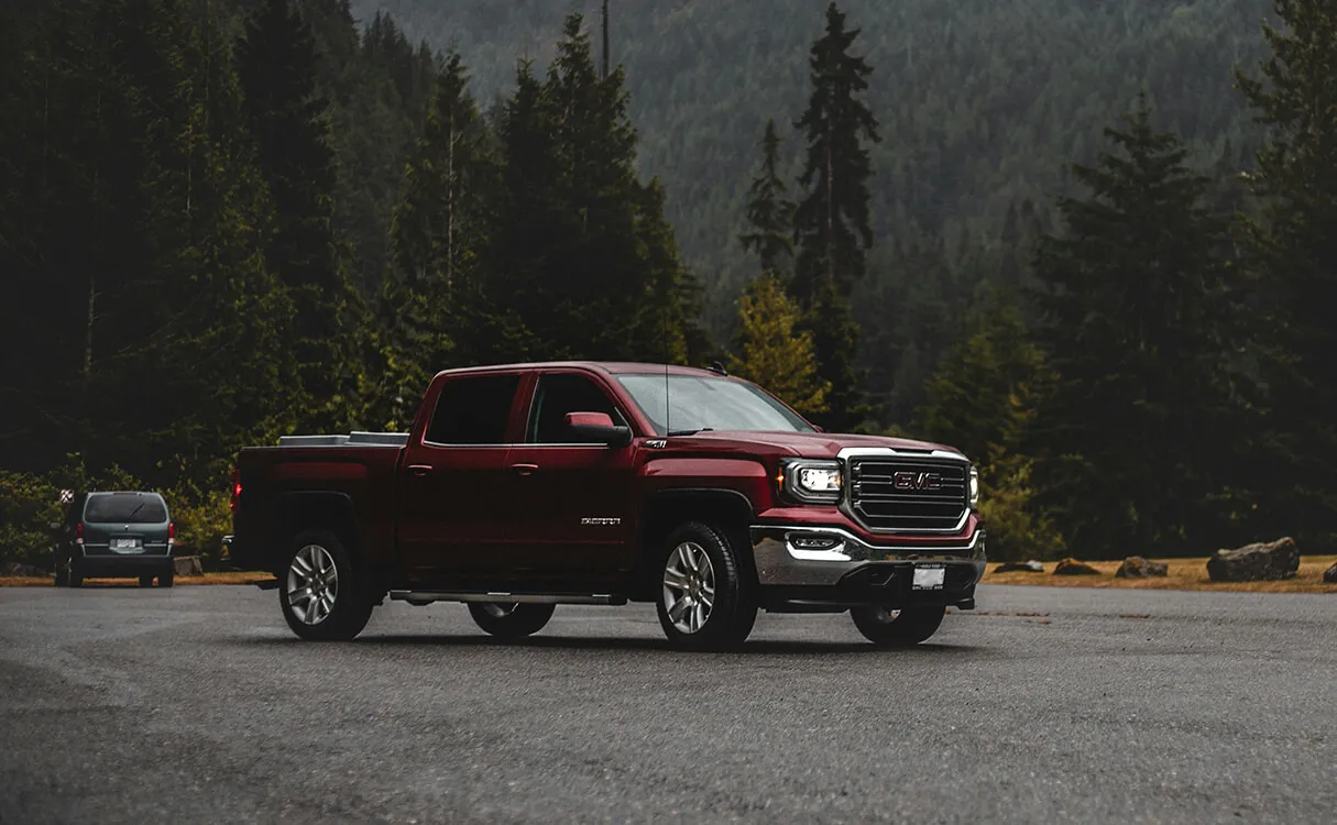 Truck next to trees and mountains